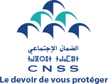CNSS logo